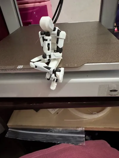 https://makerworld.bblmw.com/makerworld/model/652841/1011399/ratings/1e6e0db0-7adf-11f0-afea-a792cc0a83c1.jpg