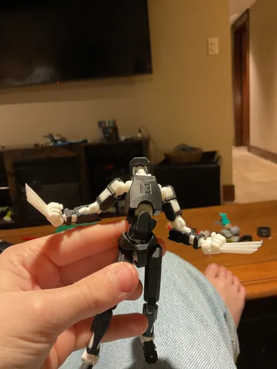 https://makerworld.bblmw.com/makerworld/model/652841/1011399/ratings/a815f910-f54b-11f0-8148-7dd01cabd3b9.jpg