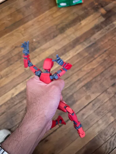 https://makerworld.bblmw.com/makerworld/model/652841/1016428/ratings/0fc0fe00-67f5-11f0-8225-db76810720ba.jpg
