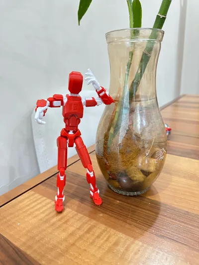 https://makerworld.bblmw.com/makerworld/model/652841/1016428/ratings/39255b40-7aee-11f0-978c-633c1e9b9f4f.jpg