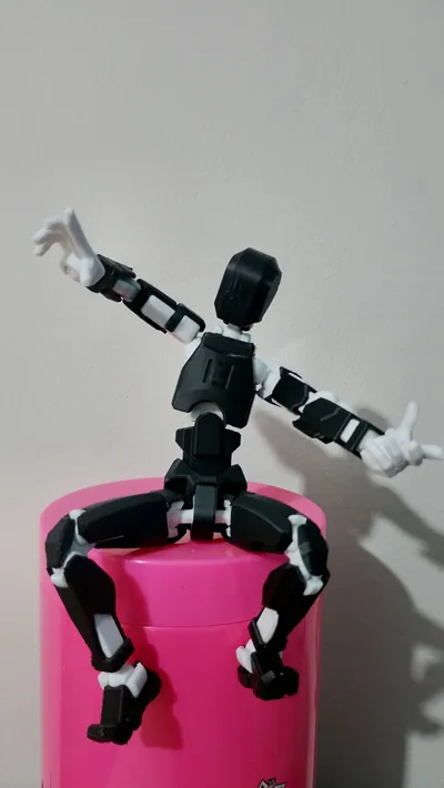 https://makerworld.bblmw.com/makerworld/model/652841/1016428/ratings/c71a6b80-ddb2-11f0-9022-8389401a852c.jpg