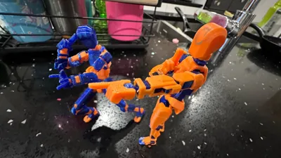 https://makerworld.bblmw.com/makerworld/model/652841/1042706/ratings/cfa70390-5bb6-11f0-890c-5fd82bcf71ee.jpg