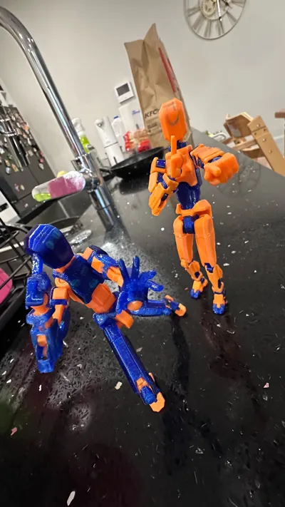 https://makerworld.bblmw.com/makerworld/model/652841/1042706/ratings/cfcb7b80-5bb6-11f0-890c-5fd82bcf71ee.jpg