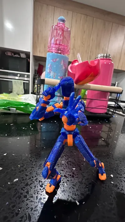 https://makerworld.bblmw.com/makerworld/model/652841/1042706/ratings/cfcba290-5bb6-11f0-890c-5fd82bcf71ee.jpg