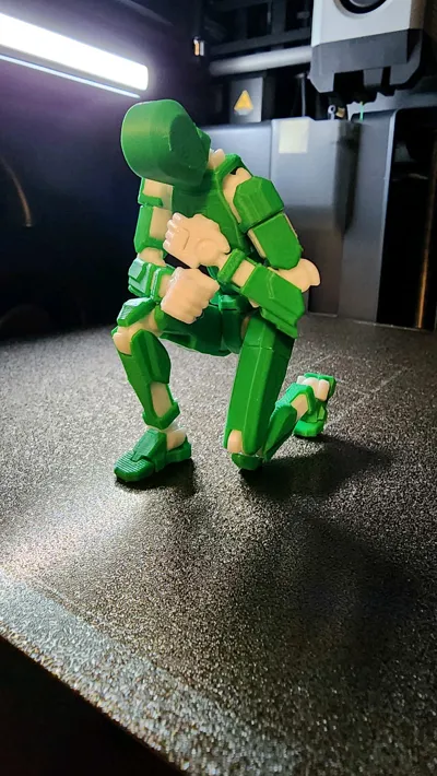 https://makerworld.bblmw.com/makerworld/model/652841/579641/ratings/03b7d370-6167-11f0-9a89-076181133d36.jpg