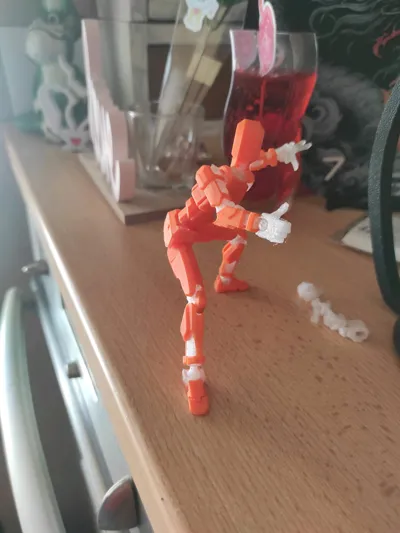https://makerworld.bblmw.com/makerworld/model/652841/579641/ratings/19d07330-87e4-11f0-9b69-4d3a10bb34c8.jpg