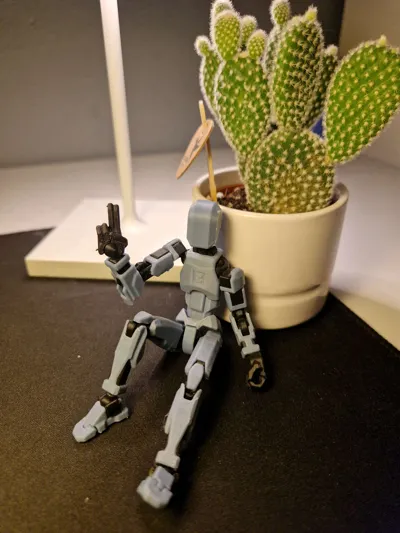 https://makerworld.bblmw.com/makerworld/model/652841/579641/ratings/26dd9f00-d85a-11f0-bc05-cdc835b6e4e5.jpg