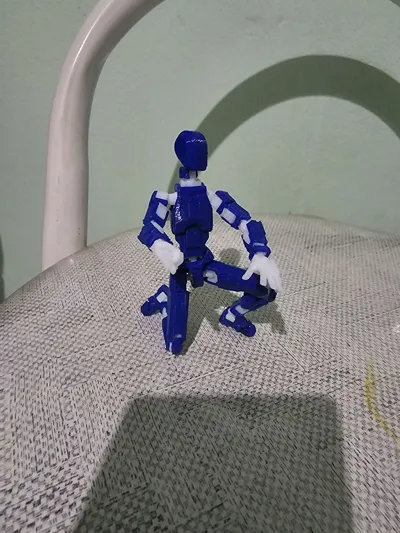 https://makerworld.bblmw.com/makerworld/model/652841/579641/ratings/42865c50-d496-11f0-867f-1bcf2d10acdc.jpg