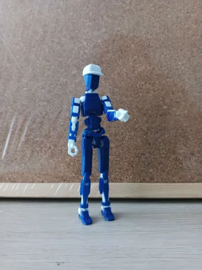 https://makerworld.bblmw.com/makerworld/model/652841/579641/ratings/43166870-4087-11f0-ae6f-7598cba0275c.jpg