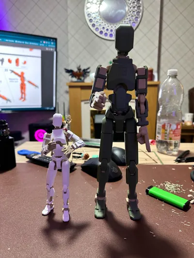 https://makerworld.bblmw.com/makerworld/model/652841/579641/ratings/6627c040-f444-11f0-b21b-83147618c0c3.jpg