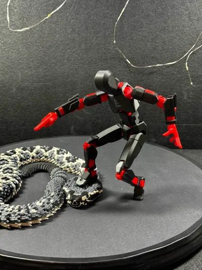https://makerworld.bblmw.com/makerworld/model/652841/579641/ratings/6f423010-cd03-11f0-88f8-b31393ba057e.jpg