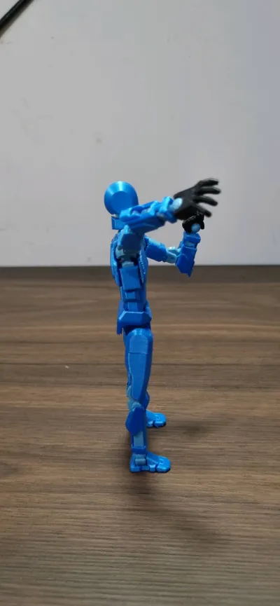 https://makerworld.bblmw.com/makerworld/model/652841/579641/ratings/855b04a0-5745-11f0-b329-a947e9155677.jpg