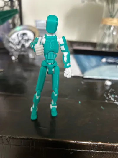 https://makerworld.bblmw.com/makerworld/model/652841/579641/ratings/9d8114f0-7abf-11f0-acee-f1a2760a82b0.jpg