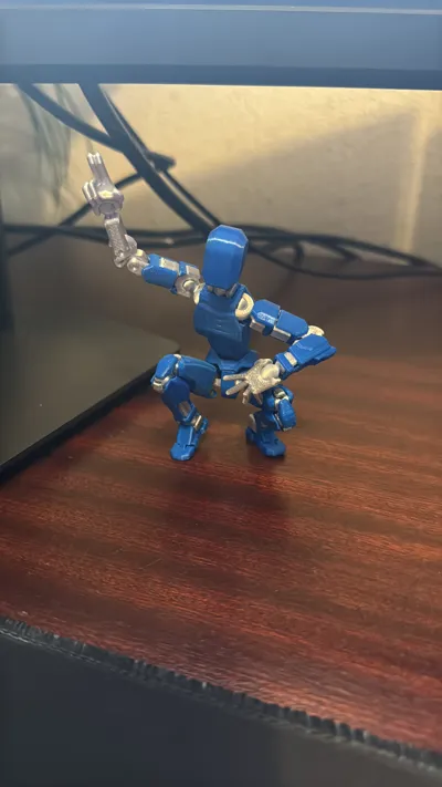 https://makerworld.bblmw.com/makerworld/model/652841/579641/ratings/cbd41af0-0f49-11f0-a370-37cebd115bbc.jpg