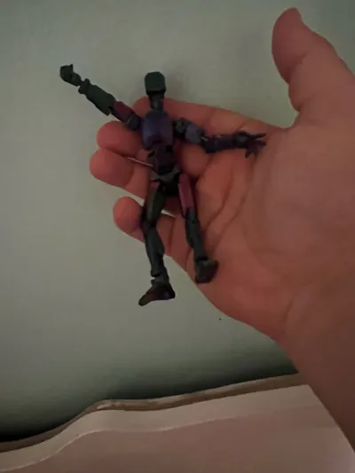 https://makerworld.bblmw.com/makerworld/model/652841/579641/ratings/cffb0860-10f6-11f0-813b-9d03a9f0271d.jpg