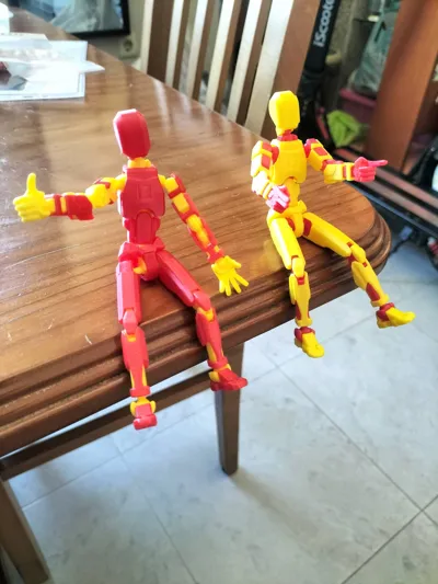 https://makerworld.bblmw.com/makerworld/model/652841/579641/ratings/e1063a10-831c-11f0-a1c0-bbb790d60d44.jpg
