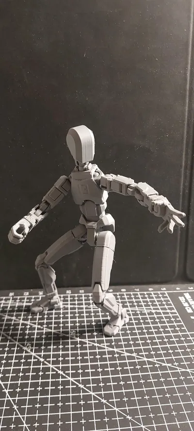 https://makerworld.bblmw.com/makerworld/model/652841/579641/ratings/fb3a1f70-d14e-11f0-a931-5311fef5d1a7.jpg
