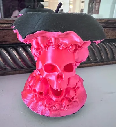 https://makerworld.bblmw.com/makerworld/model/652863/579671/ratings/3a36c340-62dc-11f0-89ce-290eef35c6f5.jpg