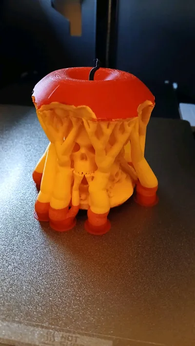 https://makerworld.bblmw.com/makerworld/model/652863/579671/ratings/be30f910-b2e9-11f0-957a-17fa4895b48e.jpg
