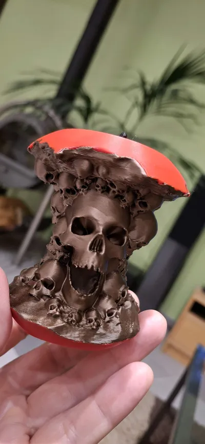 https://makerworld.bblmw.com/makerworld/model/652863/579671/ratings/be906180-97ea-11f0-8a64-53d6695bfc45.jpg