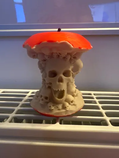 https://makerworld.bblmw.com/makerworld/model/652863/579671/ratings/dc05c700-6bee-11f0-a694-6fe6fceb753b.jpg