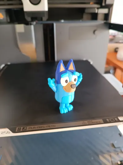 https://makerworld.bblmw.com/makerworld/model/653269/1155333/ratings/4e2b1af0-04a8-11f0-9289-7327e4a8b9b4.jpg