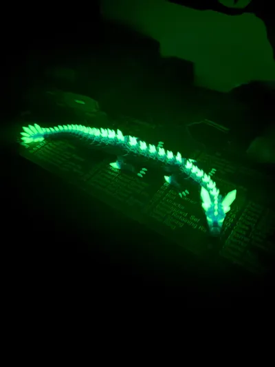 https://makerworld.bblmw.com/makerworld/model/655976/582993/ratings/ec54cb20-325e-11f0-8c31-ada5872b4c53.jpg