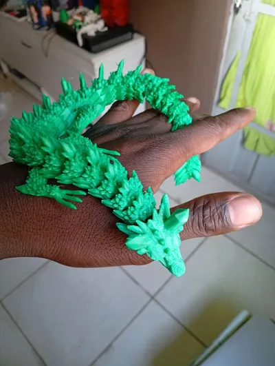 https://makerworld.bblmw.com/makerworld/model/655976/825638/ratings/270faf90-33d7-11f0-a5dd-6304cdacfc2e.jpg