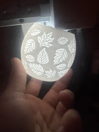 https://makerworld.bblmw.com/makerworld/model/656647/583701/ratings/8e3ae460-faba-11ef-9a34-2dd88c5e0925.jpg
