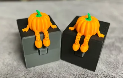 https://makerworld.bblmw.com/makerworld/model/656865/583939/ratings/d7d8a7b0-af50-11f0-ad29-d113a19b1f16.jpg