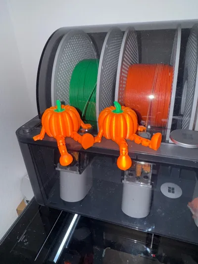 https://makerworld.bblmw.com/makerworld/model/656865/595624/ratings/6de36dc0-6b37-11f0-af84-b19432e55c24.jpg