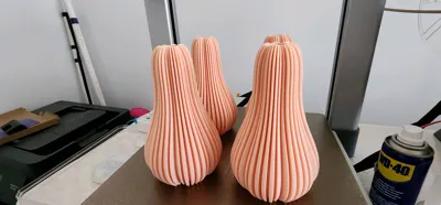 https://makerworld.bblmw.com/makerworld/model/657081/584206/ratings/310c5420-9a53-11f0-88c2-697af101cc29.jpg