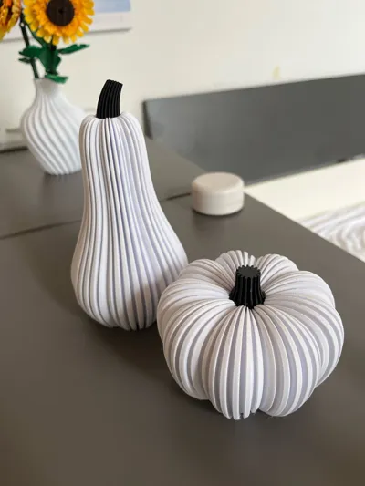 https://makerworld.bblmw.com/makerworld/model/657081/584206/ratings/613b81a0-b7ec-11f0-9bce-79caa1b11878.jpg