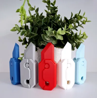 https://makerworld.bblmw.com/makerworld/model/658980/586062/ratings/37559300-0a4d-11f0-a185-ff2003a2266c.jpg