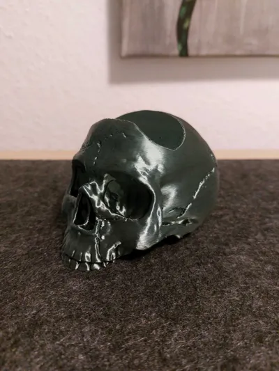https://makerworld.bblmw.com/makerworld/model/659760/586904/ratings/02210000-707f-11f0-9dd8-634c14c5d41d.jpg