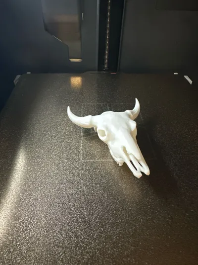 https://makerworld.bblmw.com/makerworld/model/660167/587321/ratings/39b73da0-d267-11f0-ab84-ad878e919904.jpg
