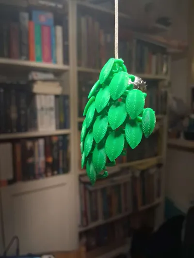https://makerworld.bblmw.com/makerworld/model/661264/588497/ratings/63d4a9a0-a220-11f0-9478-73ecd4d789ab.jpg