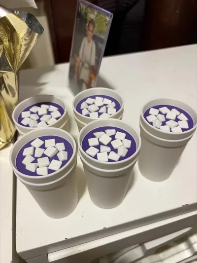 https://makerworld.bblmw.com/makerworld/model/662196/589390/ratings/eb6d6490-d963-11f0-927c-3b8375358ff0.jpg