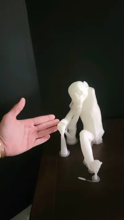 https://makerworld.bblmw.com/makerworld/model/662215/600360/ratings/1eb76820-5e56-11f0-958e-7f4a79ca61aa.jpg