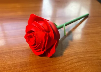 https://makerworld.bblmw.com/makerworld/model/662896/590116/ratings/0514d8f0-10b6-11f0-90d1-d1dfe9ce32ec.jpg