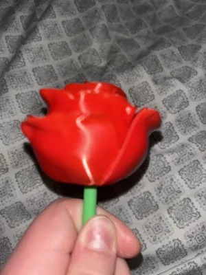 https://makerworld.bblmw.com/makerworld/model/662896/590116/ratings/3b5ac390-f962-11ef-9808-87c137a2c2e6.jpg
