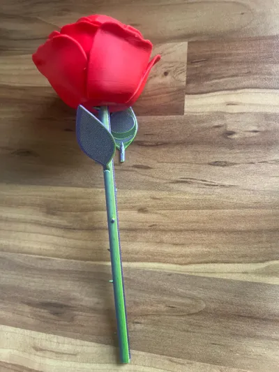 https://makerworld.bblmw.com/makerworld/model/662896/590116/ratings/d5105310-9d40-11f0-9665-1fdc728b8a9e.jpg