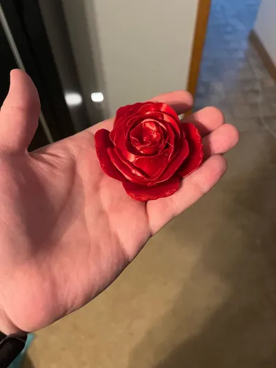 https://makerworld.bblmw.com/makerworld/model/662896/593963/ratings/055f5490-b9dd-11f0-9a2f-e140e629e328.jpg