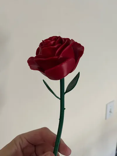 https://makerworld.bblmw.com/makerworld/model/662896/593963/ratings/055f7ba0-b9dd-11f0-9a2f-e140e629e328.jpg