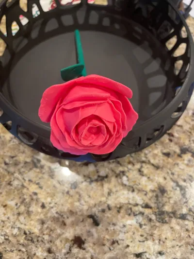 https://makerworld.bblmw.com/makerworld/model/662896/593963/ratings/ae628550-6850-11f0-8a69-55f919256a68.jpg