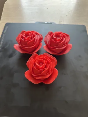 https://makerworld.bblmw.com/makerworld/model/662896/593963/ratings/bb6a4b30-fa5e-11ef-8e99-fb7ebf7a9d57.jpg