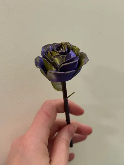 https://makerworld.bblmw.com/makerworld/model/662896/595910/ratings/ff0d9220-22e5-11f0-b6e4-67419595b03c.jpg