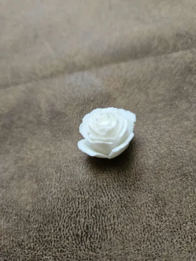 https://makerworld.bblmw.com/makerworld/model/662896/602544/ratings/058c8140-66ea-11f0-b8c8-0b88fb854719.jpg
