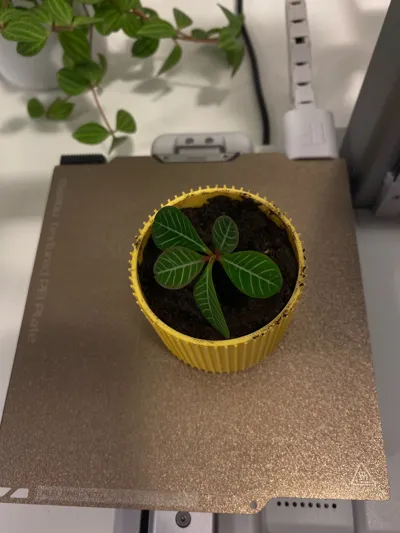https://makerworld.bblmw.com/makerworld/model/663667/590930/ratings/639c1f20-91a6-11f0-a716-0b7211d5985e.jpg