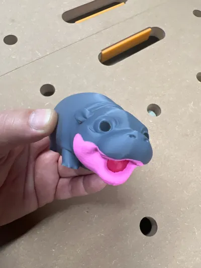 https://makerworld.bblmw.com/makerworld/model/664227/1207316/ratings/4d7c8a70-26e1-11f0-9f89-1176f0fa296a.jpg